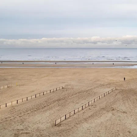 Appartamento In Belgium Near St-andre Dunes, Cleaning Included
