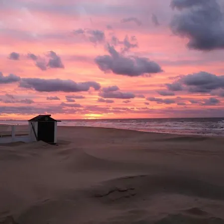 In Belgium Near St-andre Dunes, Cleaning Included Appartamento Koksijde