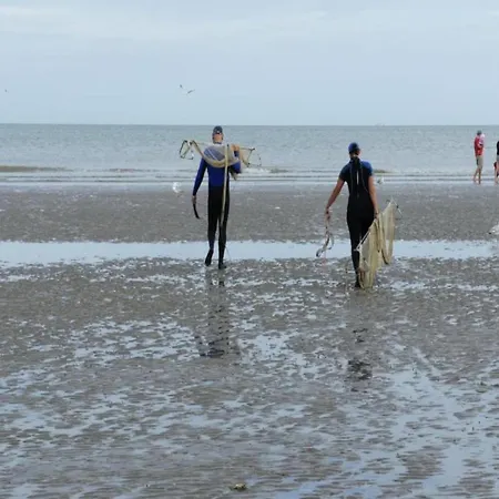 In Belgium Near St-andre Dunes, Cleaning Included Appartamento *