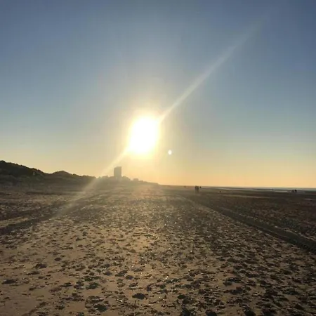 Vitalo 401 With Sea View Located On The Dike, Cleaning Included Apartment Koksijde