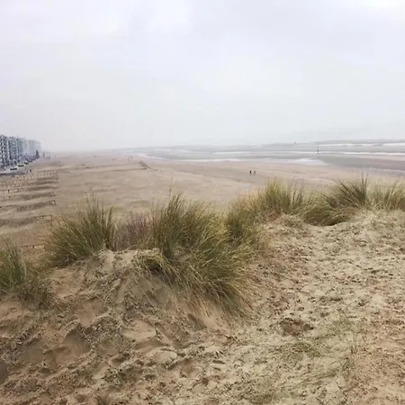 In Belgium Near St-andre Dunes, Cleaning Included Koksijde