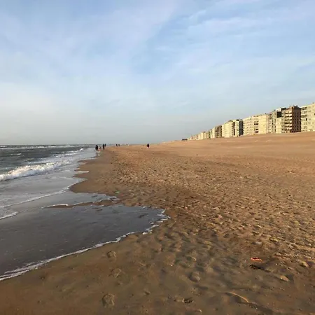 דירה In Belgium Near St-andre Dunes, Cleaning Included קוקסיידה