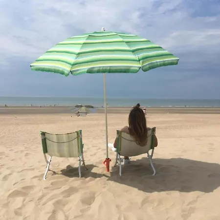 In Belgium Near St-andre Dunes, Cleaning Included דירה